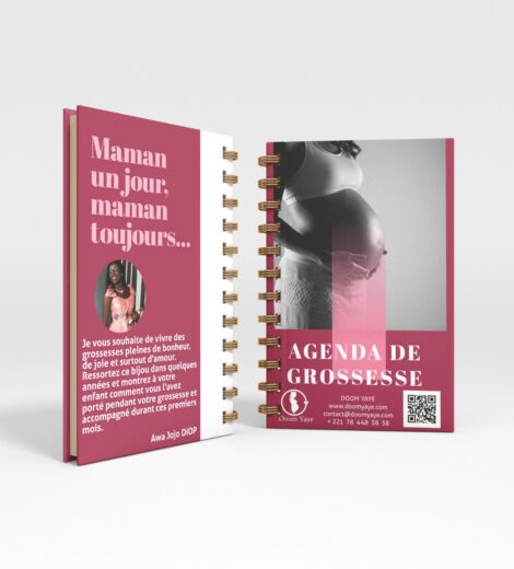 Le Journal de grossesse